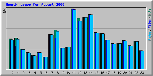 Hourly usage for August 2008