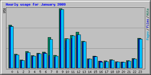 Hourly usage for January 2009